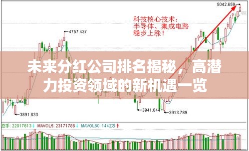 未来分红公司排名揭秘,高潜力投资领域的新机遇一览