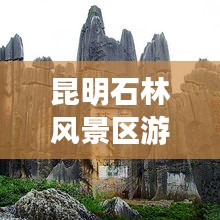 昆明石林风景区游玩攻略大全!
