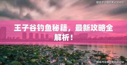王子谷钓鱼秘籍，最新攻略全解析！