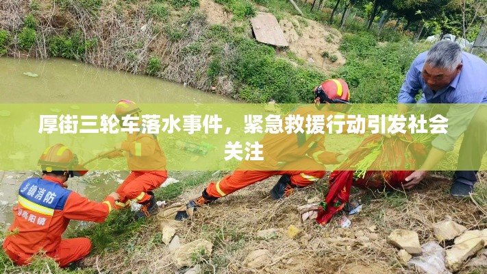 厚街三轮车落水事件，紧急救援行动引发社会关注