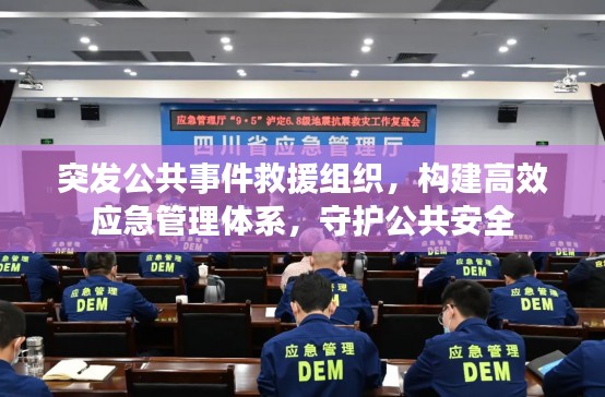 突发公共事件救援组织,构建高效应急管理体系,守护公共安全
