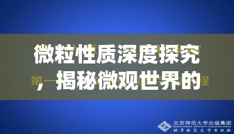 微粒性质深度探究,揭秘微观世界的奥秘
